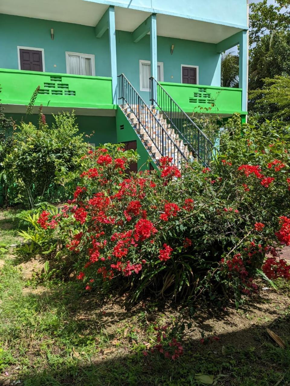 De Kolibrie Appartementen Paramaribo Exterior photo